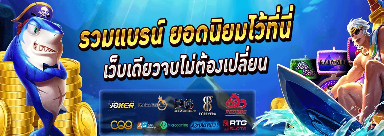 duck สล็อต